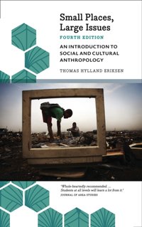 Small Places, Large Issues [DRM] - Thomas Hylland Eriksen - ebook