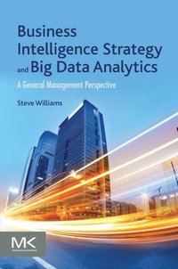 Business Intelligence Strategy and Big Data Analytics [DRM] - Steve Williams - ebook