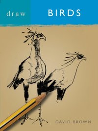 Draw Birds [DRM] - Brown David Brown - ebook