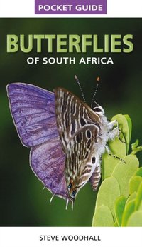 Pocket Guide Butterflies of South Africa [DRM] - Steve Woodhall - ebook