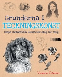 Grunderna i Teckningskonst [DRM] - Vivienne Coleman - ebook