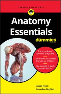 Anatomy Essentials For Dummies [DRM] - Donna Rae Siegfried - ebook