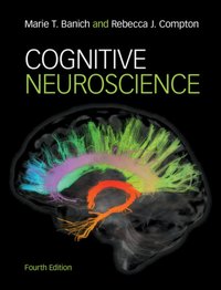 Cognitive Neuroscience [DRM] - Rebecca J. Compton - ebook