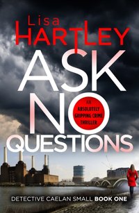 Ask No Questions [DRM] - Lisa Hartley - ebook