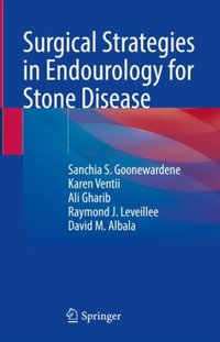 Surgical Strategies in Endourology for Stone Disease [DRM] - David M. Albala - ebook