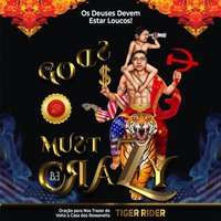 Os Deuses Devem Estar Loucos! - Rider Tiger Rider - audiobook