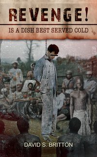 REVENGE! Is a dish best served cold - David S. Britton - ebook