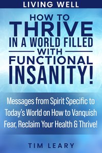 How to Thrive in a World Filled with Functional Insanity! - Tim Leary - ebook