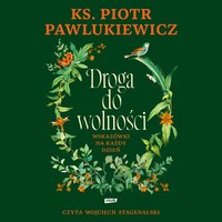 Droga do wolności. Wskazówki na każdy dzień - Piotr Pawlukiewicz - audiobook