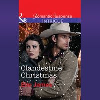 Clandestine Christmas - Elle James - audiobook