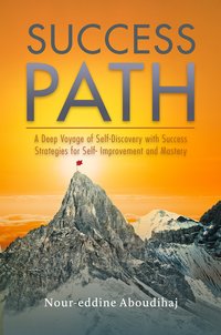 Success Path - Nour-eddine Aboudihaj - ebook