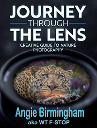 Journey Through the Lens - Angie Birmingham - ebook