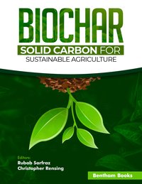 Biochar. Solid Carbon for Sustainable Agriculture - Christopher Rensing - ebook