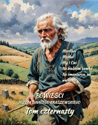 Powieści Józefa Ignacego Kraszewskiego. Tom 14 - Józef Ignacy Kraszewski - ebook