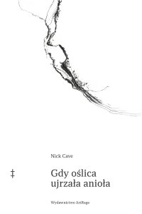 Gdy oślica ujrzała anioła - Nick Cave - ebook