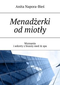 Menadżerki od miotły - Anita Napora-Bieś - ebook