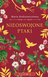 Nieoswojone ptaki - Maria Rodziewiczówna - ebook