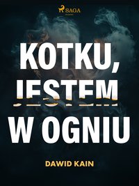 Kotku jestem w ogniu - Dawid Kain - ebook
