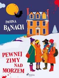 Pewnej zimy nad morzem - Iwona Banach - ebook