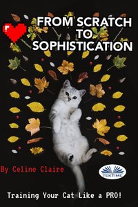 From Scratch To Sophistication - Celine Claire - ebook