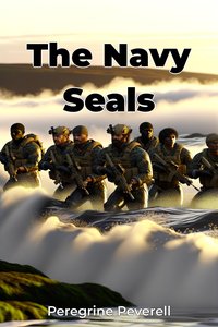 The Navy Seals - Peregrine Peverell - ebook