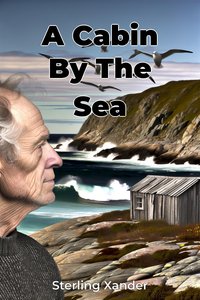 A Cabin By The Sea - Sterling Xander - ebook