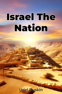 Israel The Nation - Uriel Duskin - ebook