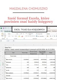 Sześć formuł Excela, które powinien znać każdy księgowy - Magdalena Chomuszko - ebook