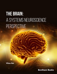 The Brain: A Systems Neuroscience Perspective - Vikas Rai - ebook