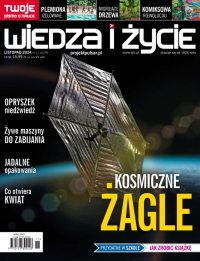 Wiedza i Życie nr 11/2024 - Opracowanie zbiorowe - eprasa