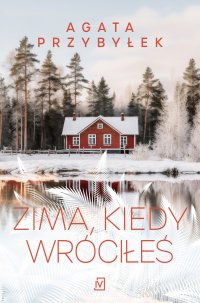 Zima, kiedy wróciłeś - Agata Przybyłek - ebook