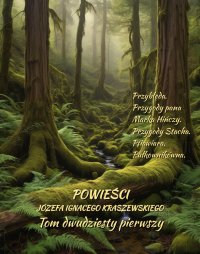 Powieści Józefa Ignacego Kraszewskiego. Tom 21 - Józef Ignacy Kraszewski - ebook