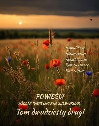 Powieści Józefa Ignacego Kraszewskiego. Tom 22 - Józef Ignacy Kraszewski - ebook