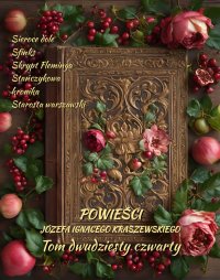 Powieści Józefa Ignacego Kraszewskiego. Tom 24 - Józef Ignacy Kraszewski - ebook