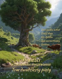 Powieści Józefa Ignacego Kraszewskiego. Tom 25 - Józef Ignacy Kraszewski - ebook