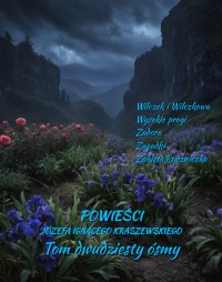 Powieści Józefa Ignacego Kraszewskiego. Tom 28 - Józef Ignacy Kraszewski - ebook