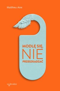 Modlę się. Nie przeszkadzać - Matthieu Aine - ebook