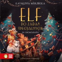 Elf do zadań specjalnych - Katarzyna Wierzbicka - audiobook