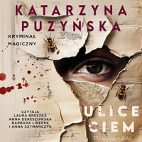 Ulice ciem - Katarzyna Puzyńska - audiobook