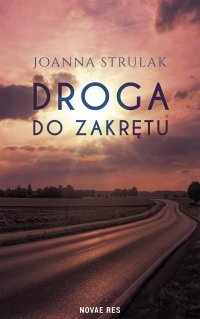 Droga do zakrętu - Joanna Strulak - ebook