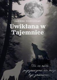 Uwikłana w tajemnicę - Sandra Gościniak - ebook