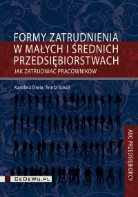 Formy zatrudnienia w małych i średnich przedsiębiorstwach w Polsce. Jak zatrudniać pracowników - Karolina Drela - ebook