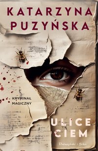 Ulice ciem - Katarzyna Puzyńska - ebook