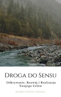 Droga do Sensu - Ranjot Singh Chahal - ebook