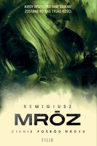 Cienie pośród mroku - Remigiusz Mróz - ebook