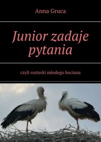 Junior zadaje pytania - Anna Gruca - ebook