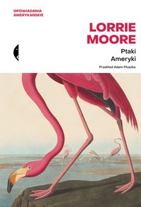 Ptaki Ameryki - Lorrie Moore - ebook