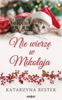 Nie wierzę w Mikołaja - Katarzyna Bester - ebook