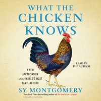 What the Chicken Knows - Sy Montgomery - audiobook