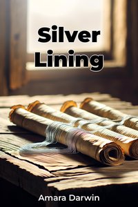 Silver Lining - Amara Darwin - ebook